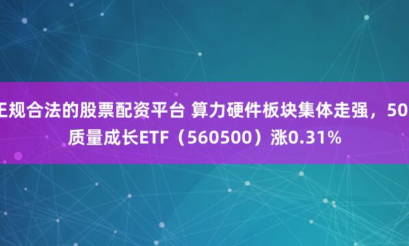 正规合法的股票配资平台 算力硬件板块集体走强,500质量成长ETF(560500)涨0.31%