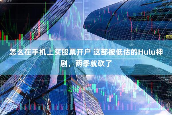 怎么在手机上买股票开户 这部被低估的Hulu神剧，两季就砍了